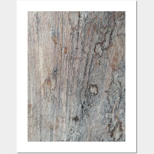 Rough wood texture Posters and Art
